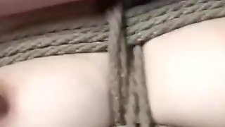 Harmony Wonder: 19 Year old Tormented..